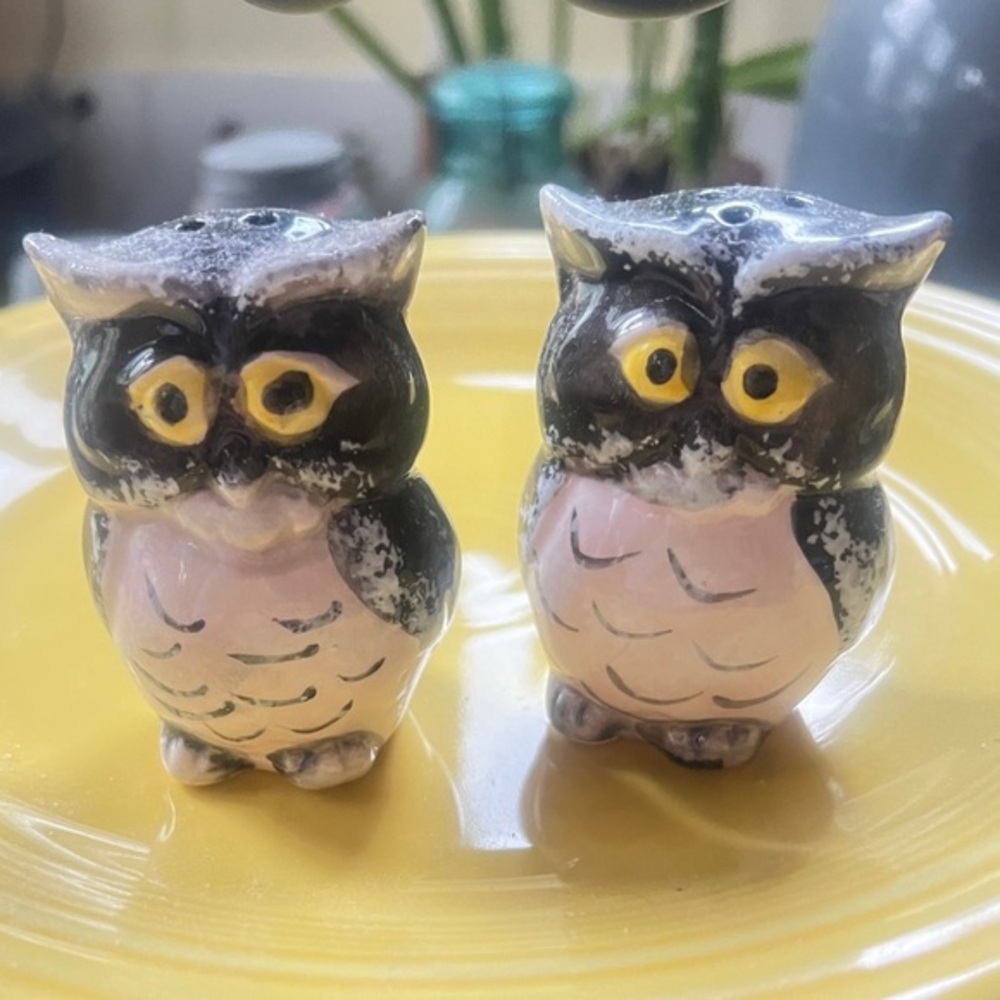 Ceramic Owl Salt and Pepper Shakers